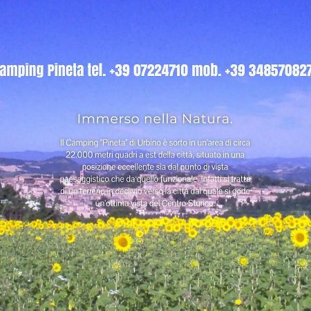 Hotel Camping Pineta Urbino Exteriér fotografie