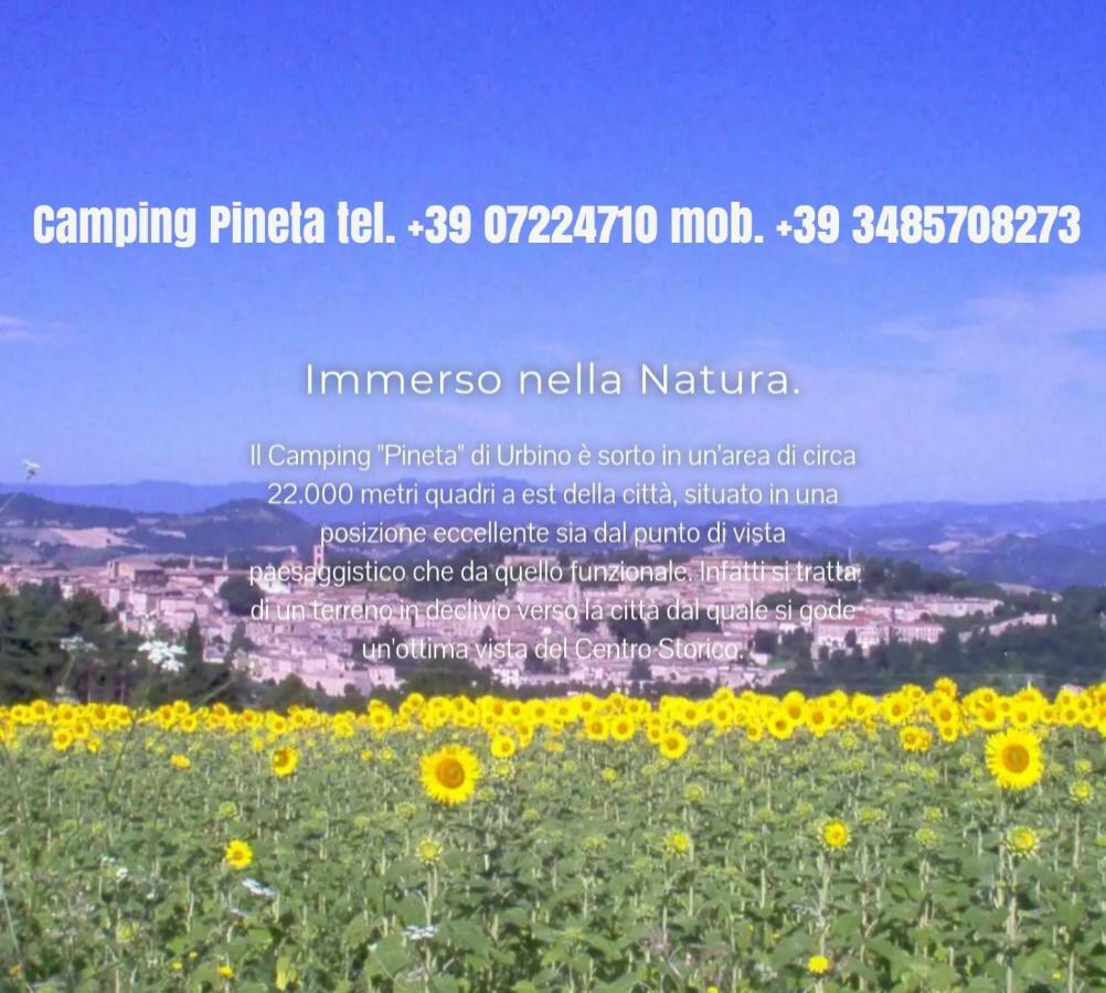 Hotel Camping Pineta Urbino Exteriér fotografie